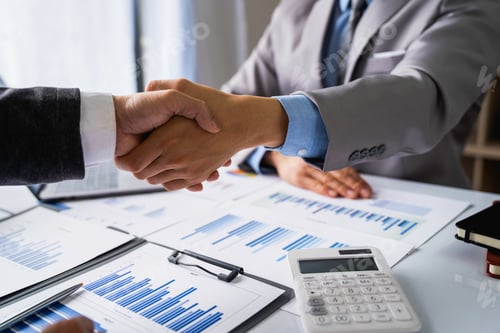 Preview: Business people shaking hands, finishing up meeting, business handshake for successful of investmen