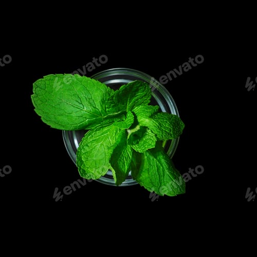 Preview: Top view of pot with mint isolated on black