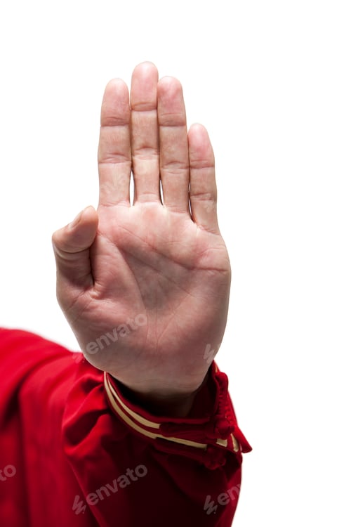 Preview: Human Palm Face Up