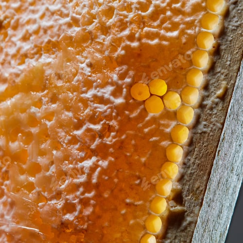 Preview: Macro photo of organic honey in honeycombs. Healthy food