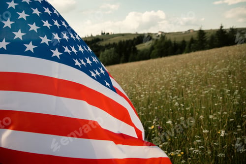 Preview: USA flag on the meadow