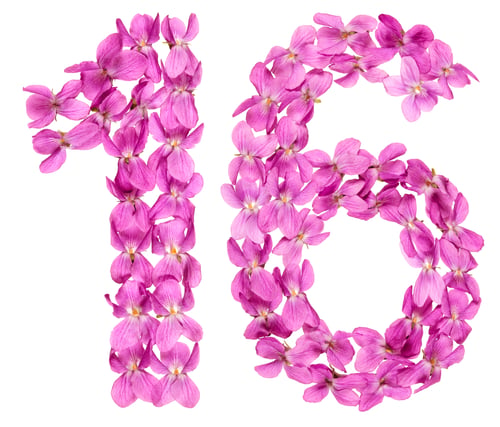 Preview: Arabic numeral 16, sixteen, from flowers of viola, isolated on white background