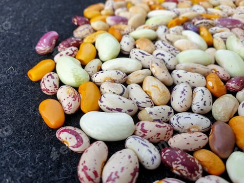 Preview: Macro shot of heap of colorful kidney beans, Heap of colorful raw kidney beans (legumes)
