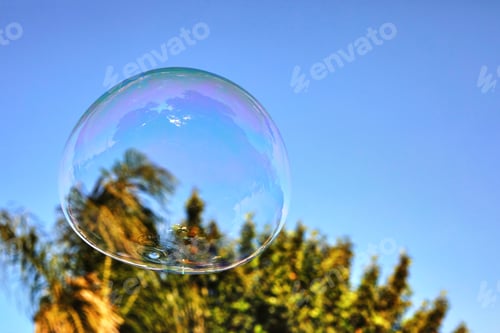 Preview: The soap bubble flies against the blue sky and palm trees.