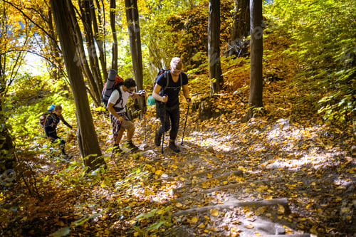 Preview: Group of friends hiking through the mountain path, trekking trail