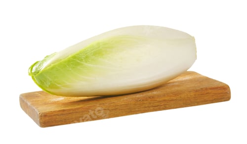 Preview: fresh Belgian endive