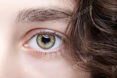 Preview: Closeup Macro Shot Of Female Eye. Woman Eye With Green Pistachio Colour And With Day Nude Makeup