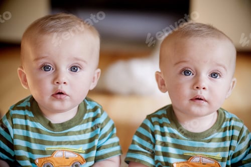 Vista previa: Bebés de hermanos gemelos