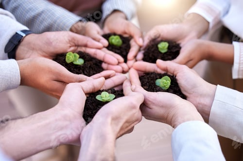 Preview: Shot of a group of unrecognizable businesspeople holding plants in soil at work