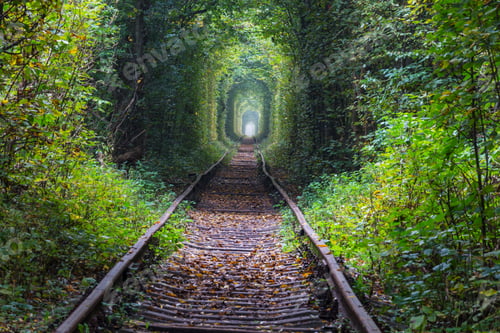Preview: Trees tunnel