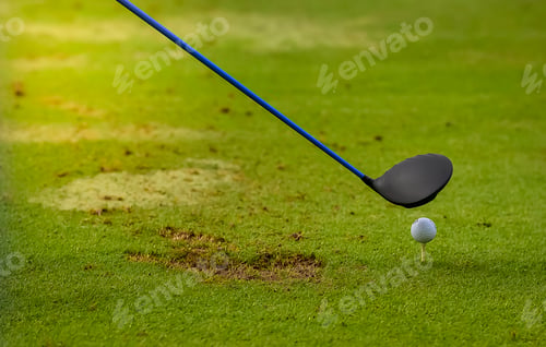 Preview: Golfer putting golf ball on the green golf.