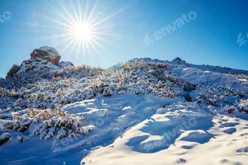 Preview: Landscapes of the Carpathian Mountains, covered with large stone ledges in Ukraine, near the village