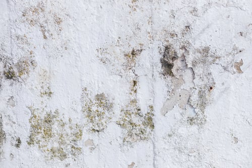 Preview: white abstract stone wall background. texture stone wall backdro
