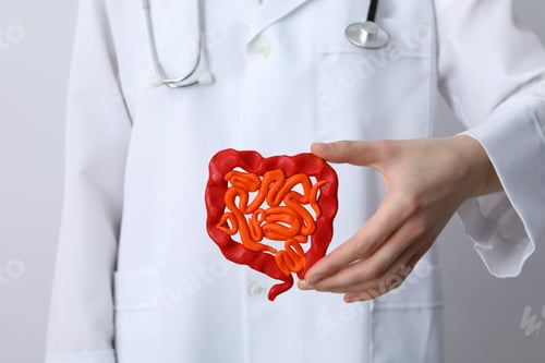 Preview: Concept of health care and internal organs - intestines
