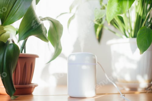 Preview: Flowers and humidifier