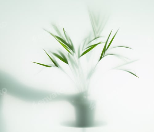Preview: palm tree and human hand in fog