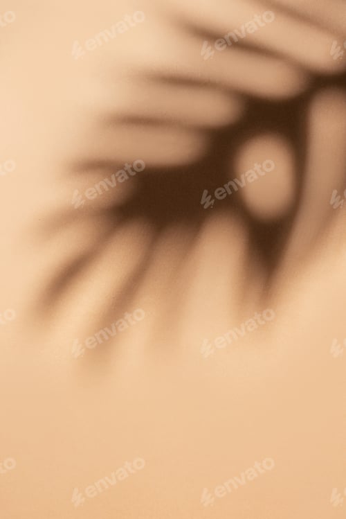 Preview: Shadows from palm leaves