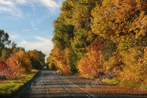 Preview: Road through Autumn fores tunnel at sunset