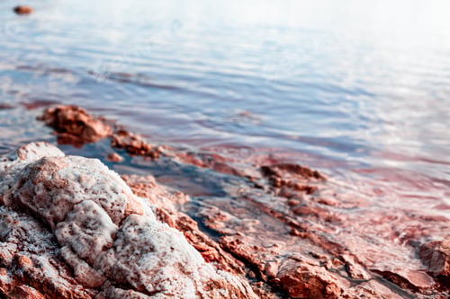 Preview: Torrevieja Pink Lake in Alicante, Spain