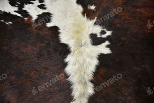 Preview: Closeup shot of brown, black and white cow fur