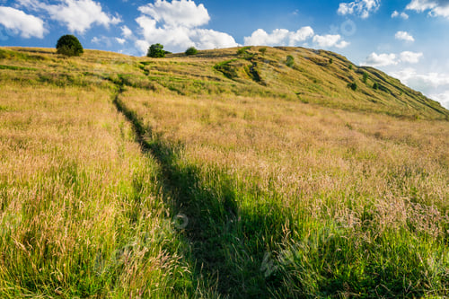 Preview: The path on the hill in Scotland