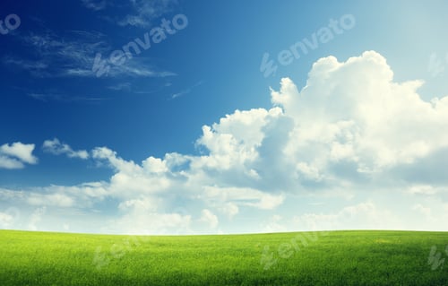 Preview: Field Of Grass And Perfect Sky