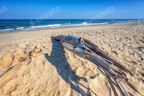 Preview: on the beach