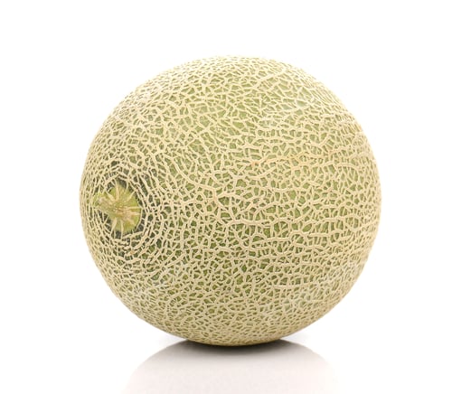 Preview: Big Melon on white background.