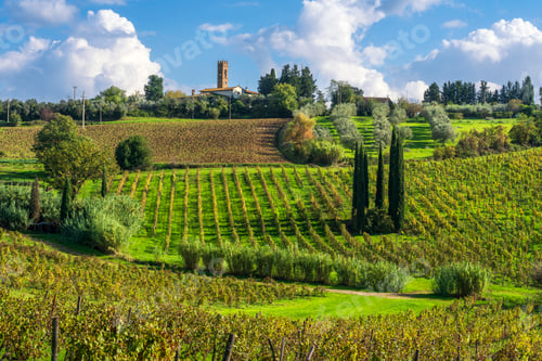 Preview: Landscape in Chianti, vineyard and San Michele a Torri church, Scandicci, Tuscany region, Italy