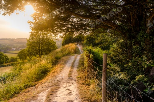 Preview: Countryside Path in Wiltshire