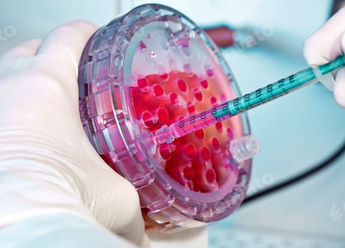Preview: Scientist working with cells in a laboratory petri dish