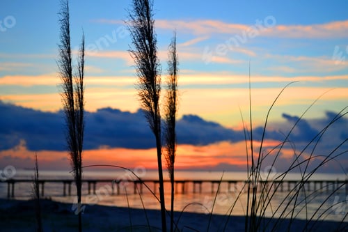 Preview: Sunrise or sunset on the Chesapeake Bay, VA with sea grass silhouetted