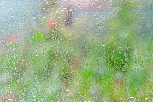Preview: Spring background with rain drops on the window. Natural texture.