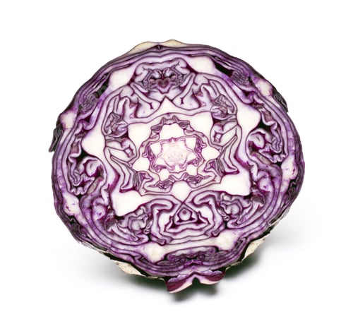 Preview: red cabbage isolated on white background