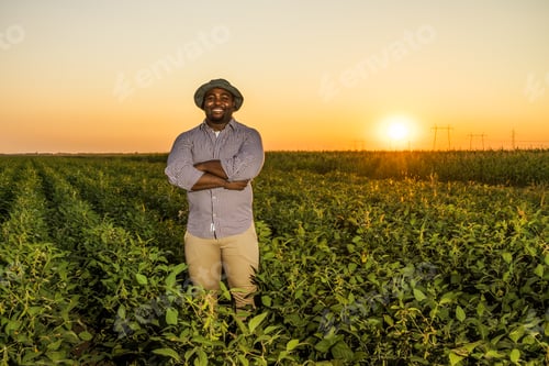 Preview: Agricultural occupation