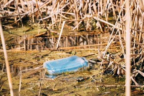 Preview: Old Plastic Canister Floats In Water Of Swamp Or Pond. Used Empt