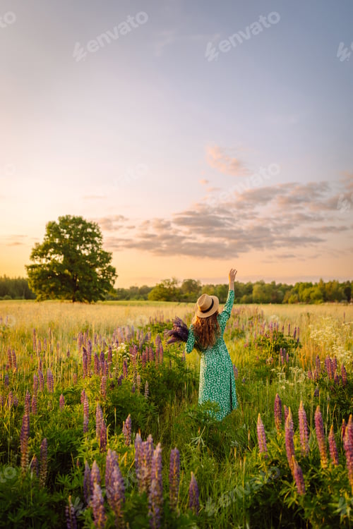Preview: A beautiful woman with a bouquet of lupins, collects flowers, inhales fresh floral air.
