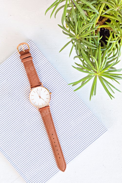 Preview: Styled minimal desktop mockup with organic color stationary, hand watch and plant pot. Freelancer