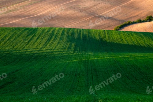 Preview: Gorgeous rural landscape with green sunny spring hills. South Moravia region, Czech Republic