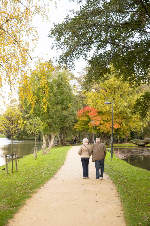 Preview: an elderly couple is walking in the park in autumn, people are behind, the leaves falling