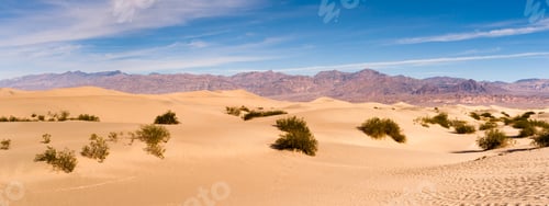 Preview: Sand Dunes Death Valley