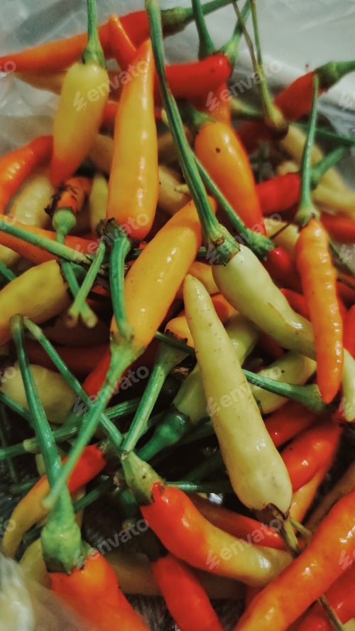 Preview: Red hot chilli pepper