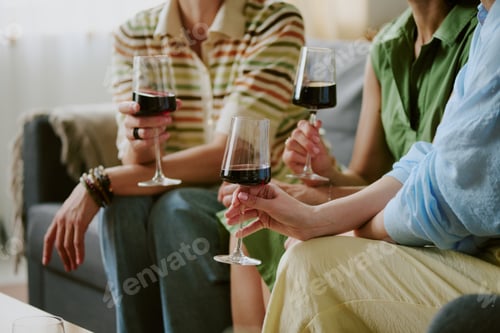 Preview: Group of Young Adult Women Relaxing Indoors and Drinking Red Wine Together