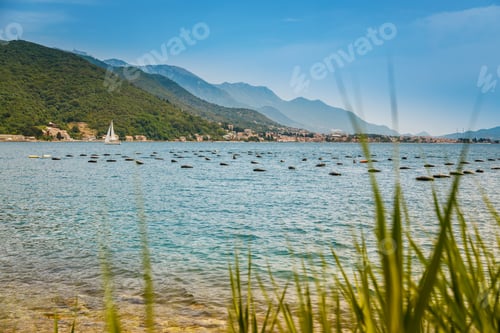 Preview: Mussel and oyster farm