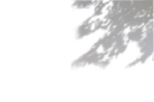 Preview: Black and White abstract background textuer of shadows leaf on a white wall. Copy space