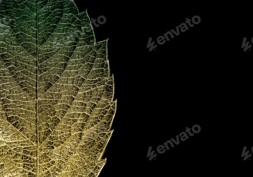 Preview: Autumn Leaves Lie On Bright Paper Background Image