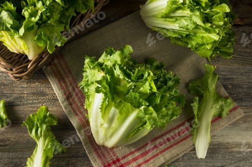 Preview: Raw Green Organic Escarole Lettuce