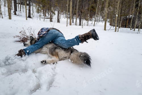 Preview: Man in a plaid shirt laying in the snow with his alaskan malamute dog