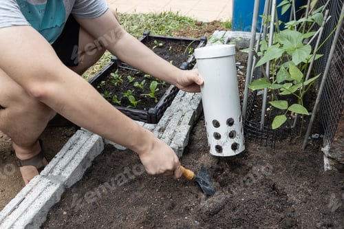 Preview: Person installing worm tower into soil in garden for organic composing