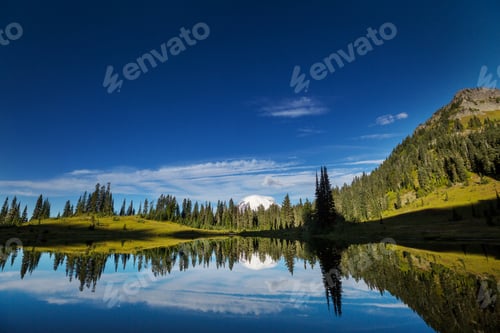 Preview: Mt Rainier